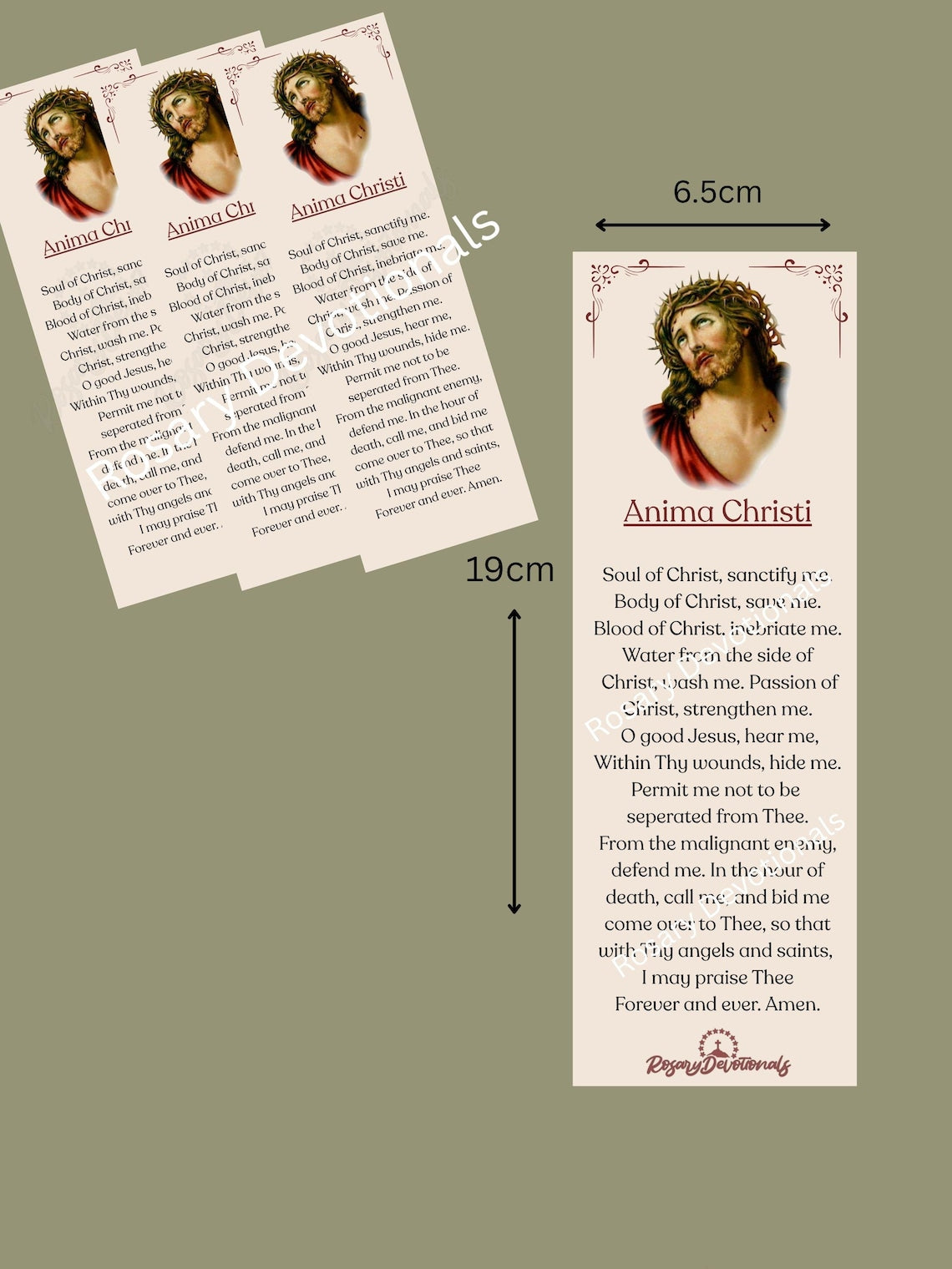 Anima Christi Holy Prayer Card